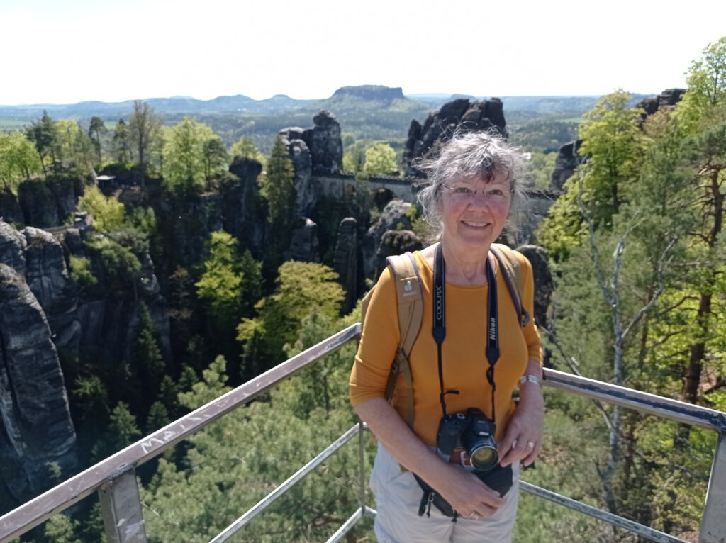 Blick von der Aussichtsplattforma auf die Felsnadeln