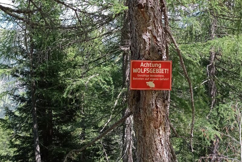 Wolfsgebiet in der Kreuzeckgruppe